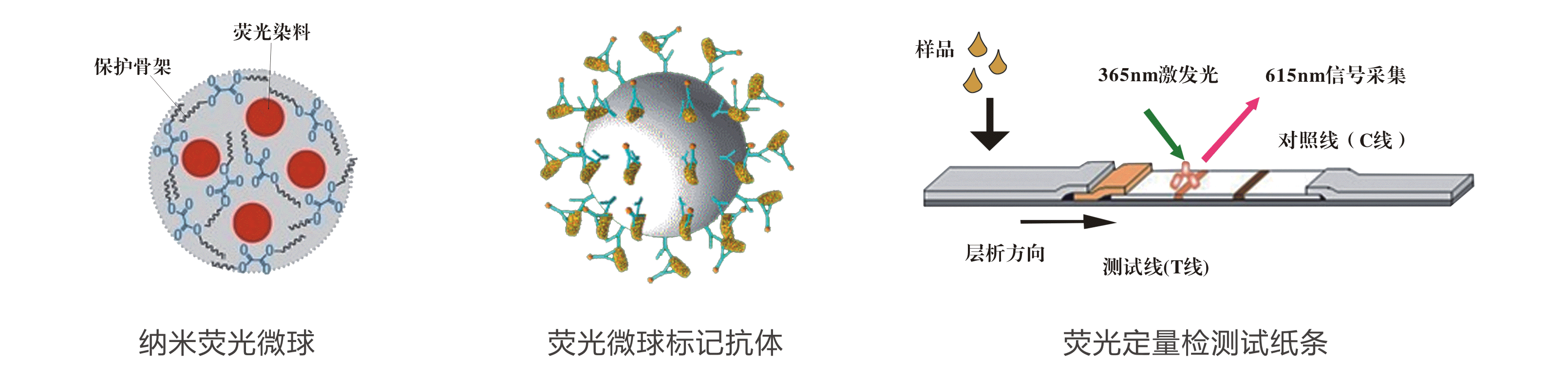 中藥材嘔吐毒素快速檢測(cè)卡