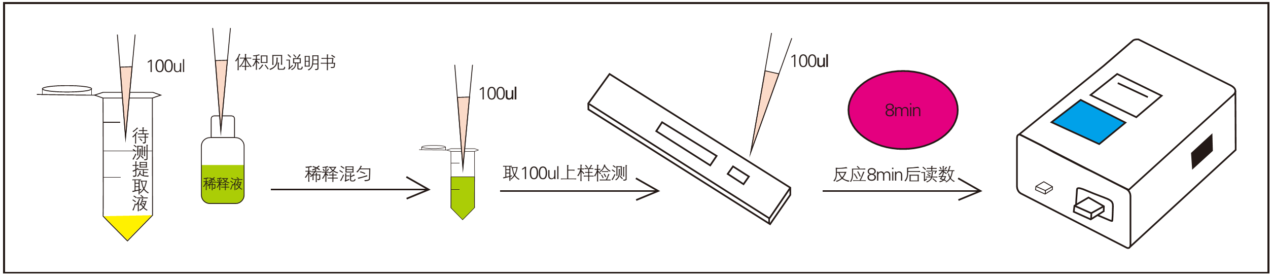 玉米赤霉烯酮快速檢測過程