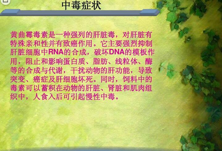 六、黃曲霉毒素對人和動(dòng)物有哪些危害？